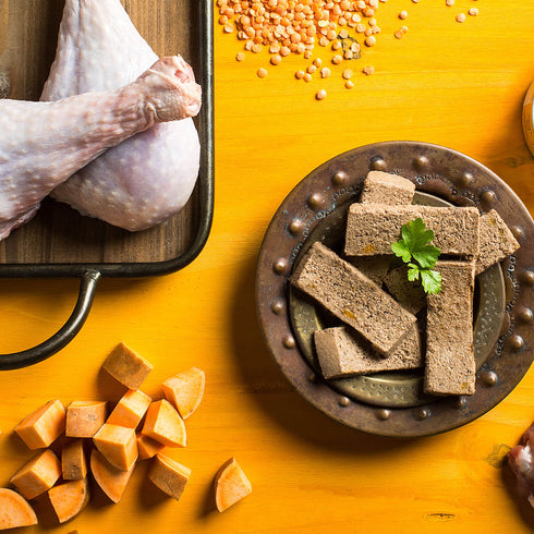 Fromm Four-Star Wet Cat Food - Turkey & Duck Pâté - 5.5oz Can